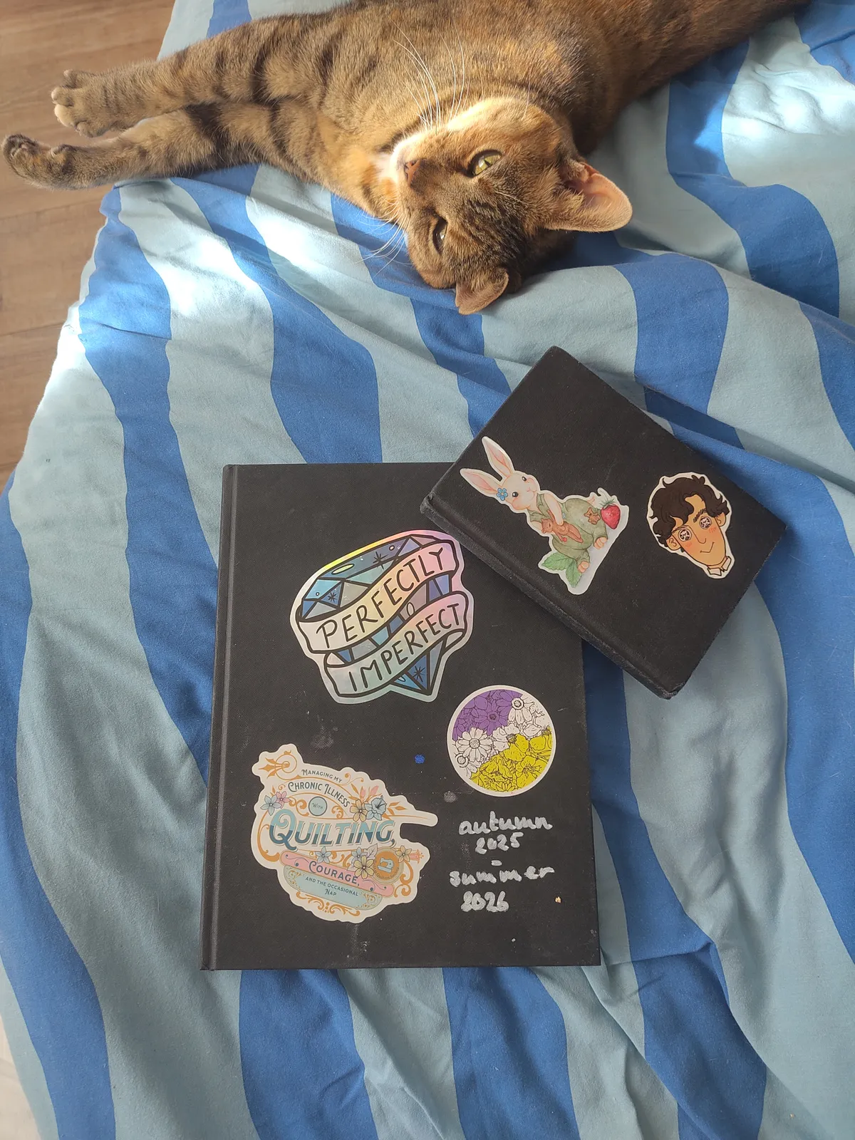 Two sketchbooks and a cat.
